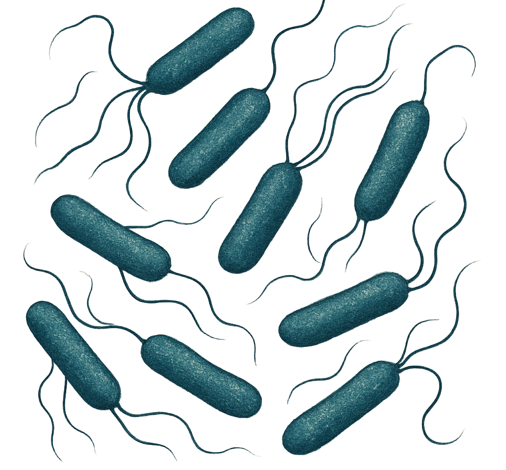 APT Agar (All Purpose Tween)