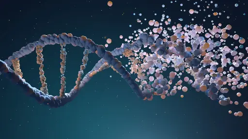 From DNA to Chromosomal Mutations: Foundations of Medical Genetics